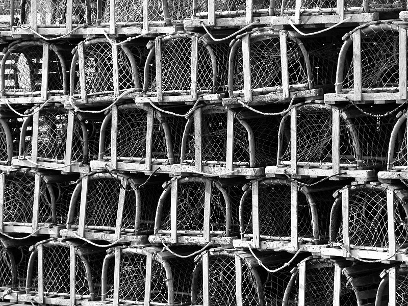 Lobster Nets