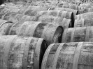 Scotch Barrels