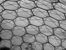 Biome, Eden Project