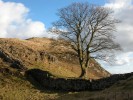 Hadrian's Wall
