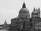 Lady Salute, Venice